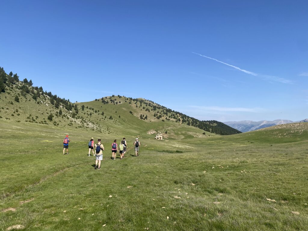 Verd i blau a la Serra d’Ensija
