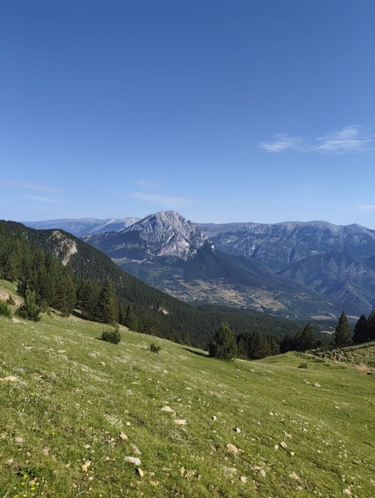 Verd i blau a la Serra d’Ensija